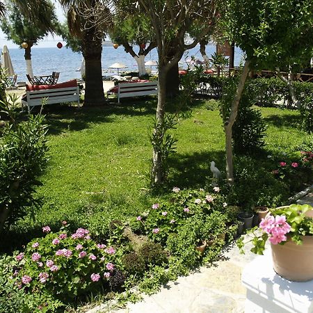 Yilmaz Hotel Ortakent Ngoại thất bức ảnh