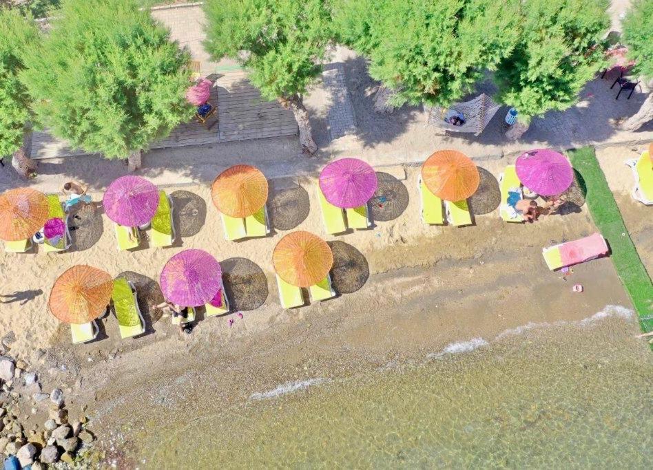 Yilmaz Hotel Ortakent Ngoại thất bức ảnh