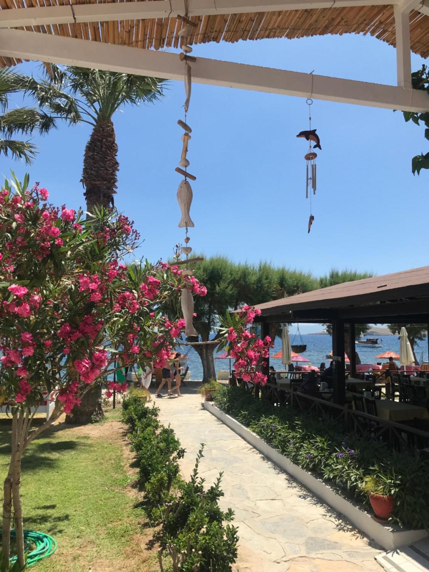 Yilmaz Hotel Ortakent Ngoại thất bức ảnh