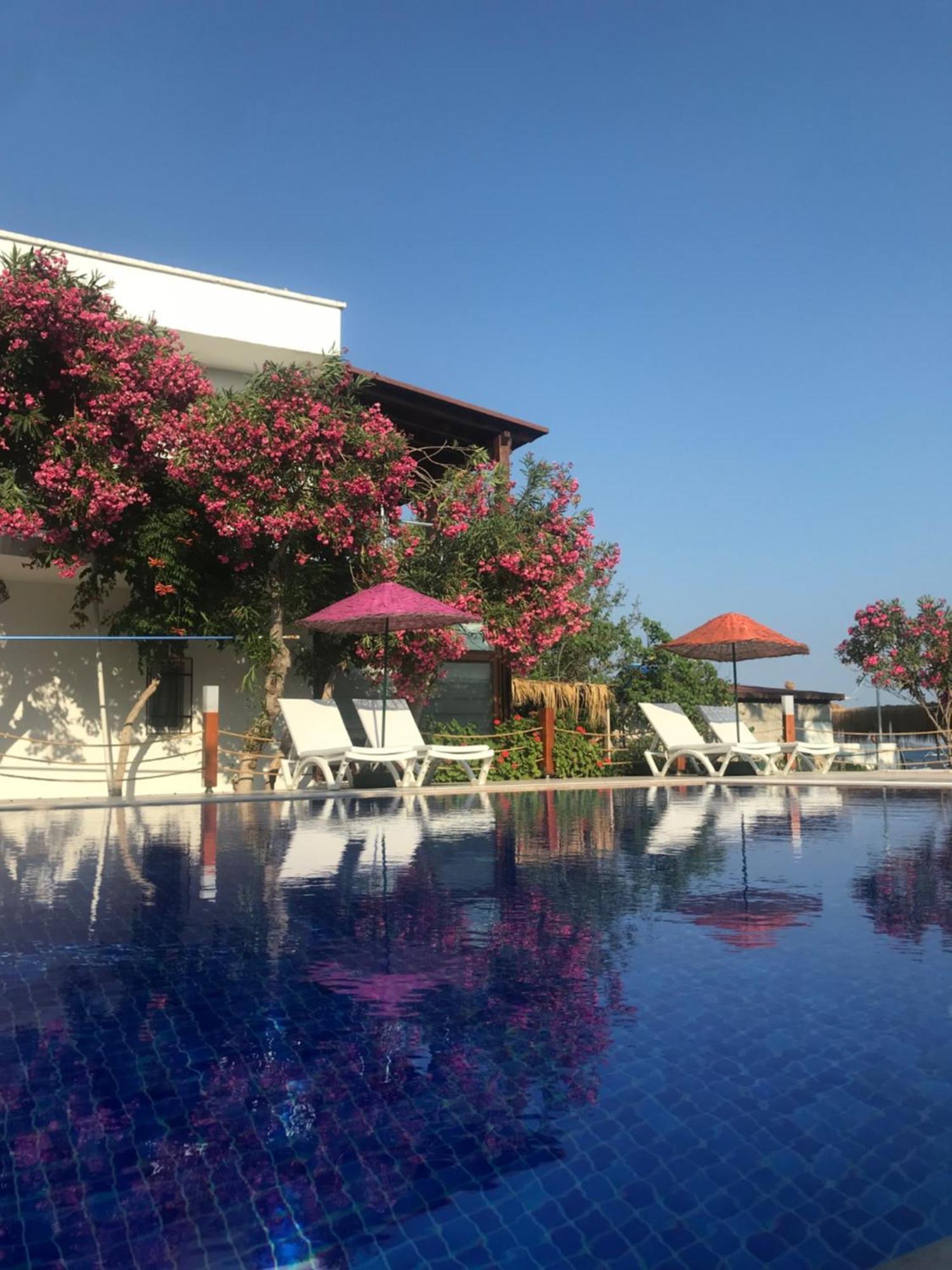 Yilmaz Hotel Ortakent Ngoại thất bức ảnh
